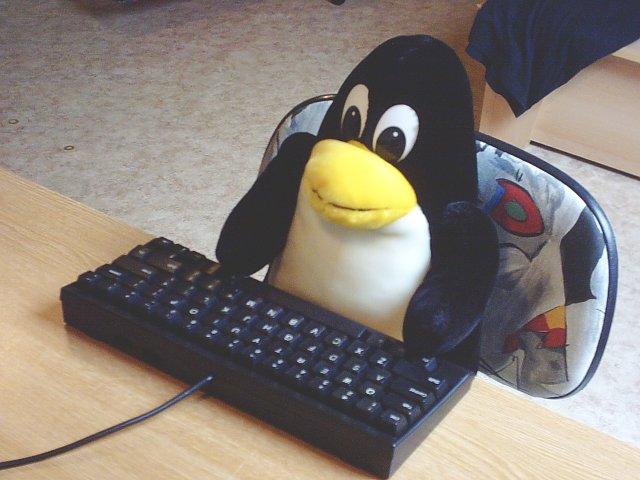 Linux创始人 Linus·Torvalds 最爱